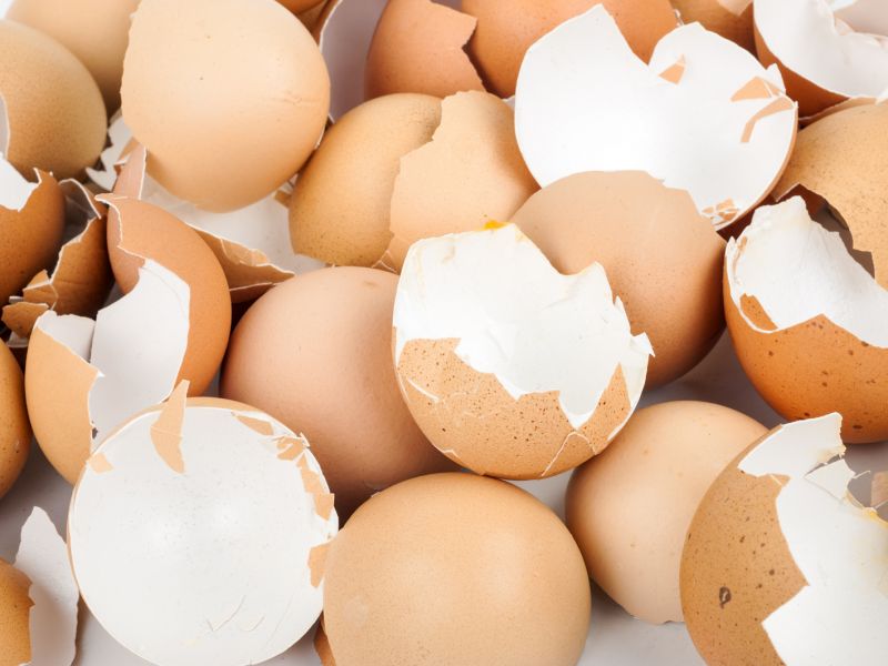 Skořápky vajíček se sbíraj docela fajn, horší je potom jejich umývání – zejména vnitřku. Je to to nejhorší, pokud se rozhodnete vajíčkové skořápky dále využívat.